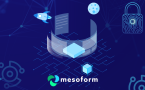 Strengthening Cyber Defences: A CISO's Roadmap for 2025